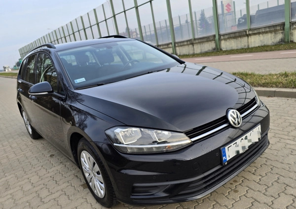 Volkswagen Golf cena 53997 przebieg: 167831, rok produkcji 2020 z Białystok małe 529